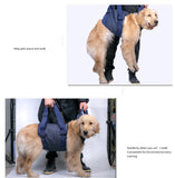 Dog Auxiliary Belt Dog Lift Support Harness