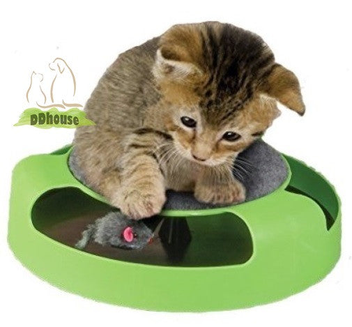 Interesting Fun and Self Entertaining Catch the Mouse Motion Cat Toys