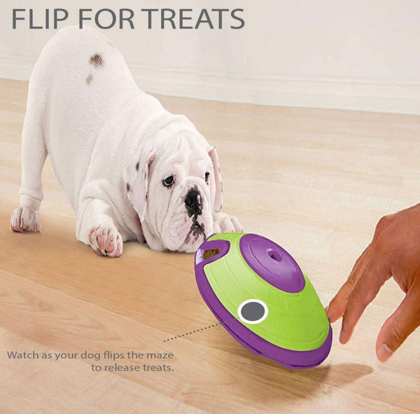 Dog Treat Maze - Tap & Flip Treat Game