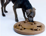 Dog Worker Interactive IQ game Outward Hound Dog Puzzle Dog Game Slow Feeding Toy