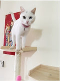 Solid Wood Triple Top Cat Condos - DDhouse Singapore Online Pet Supplies and Pet Products - 13