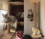 Full Length Floor-to-Ceiling Thick Pole Wooden Cat Climbing Tree