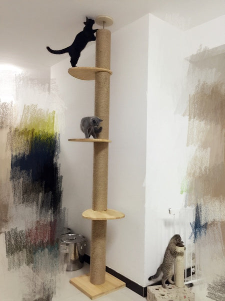 12cm extra thick Full Length Floor-to-Ceiling Wooden Cat Climbing