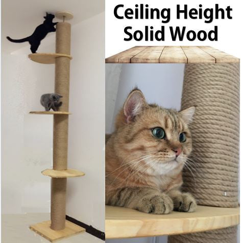 Full Length Floor-to-Ceiling Thick Pole Wooden Cat Climbing Tree