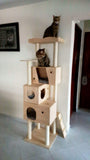 Solid Wood 1.8m Extreme Tall Cat Tree Cat Condos Singapore with multiple house