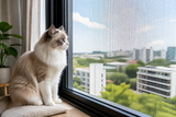 Domora Detachable Retractable Window Mesh