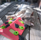 Melon Madness: Stimulating Puzzle & Play Game for Cats Nina Ottosson