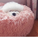 Pet donut bed , cushion bed , fluffy soft pet bed 