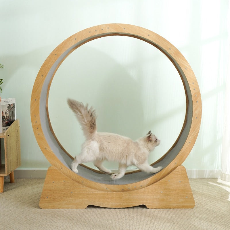 Medium Cat Treadmill Exercise Wheel
