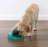 dog food