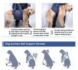 Dog Auxiliary Belt Dog Lift Support Harness