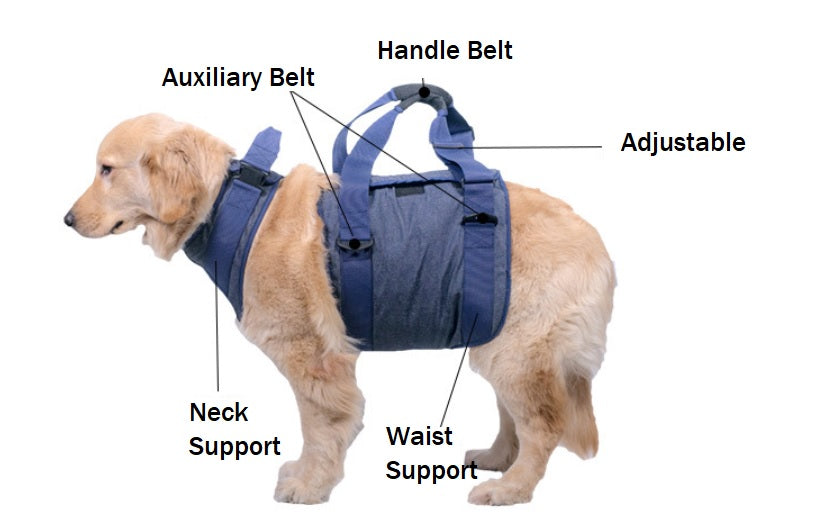 Dog Auxiliary Belt Dog Lift Support Harness