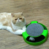 Catch the Mouse Motion Cat Toys - DDhouse Singapore Online Pet Supplies and Pet Products - 3