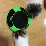Catch the Mouse Motion Cat Toys - DDhouse Singapore Online Pet Supplies and Pet Products - 4