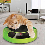 Catch the Mouse Motion Cat Toys - DDhouse Singapore Online Pet Supplies and Pet Products - 6