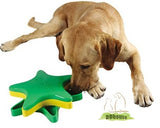 Online Pet supplies - DDhouse star spinner kyjen outward hound 