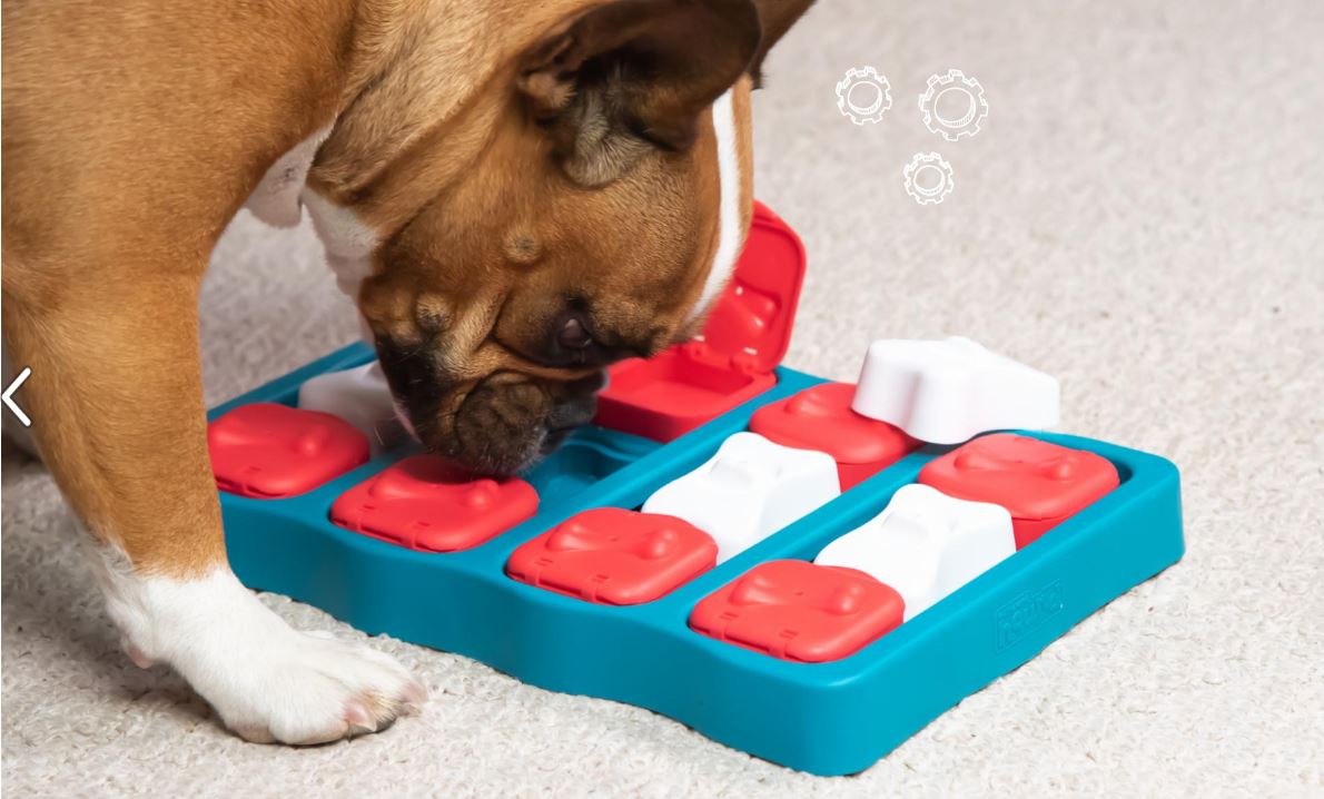 Dog Brick Treat Puzzle Game