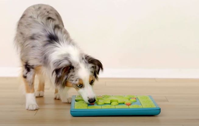 MultiPuzzle Interactive Game Dog Toy