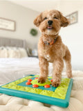 Nina Ottosson Treat Puzzle Games fight boredom, help reduce destructive behaviors & exercise your dog’s mind