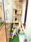 Solid Wood Triple Top Cat Condos - DDhouse Singapore Online Pet Supplies and Pet Products - 14
