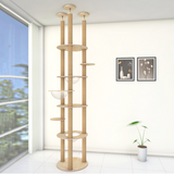 Floor to ceiling Cat trees Multiple poles More Stable