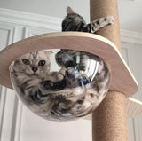 Premium PVC Cat Condo With Swing Wooden cat Tree Singapore
