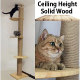 Ceiling Height Solid Wood Cat Tree Singapore Wooden Floor to ceiling Cat Towers DDhouse Singapore
