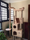 Solid Wood 1.8m Extreme Tall Cat Tree Cat Condos Singapore with multiple house