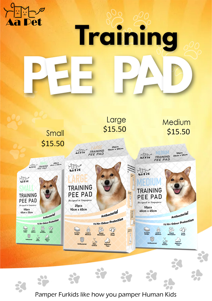 Training Pee Pad - Small / Medium / Large Antibacterial and 72hrs Odour Protection