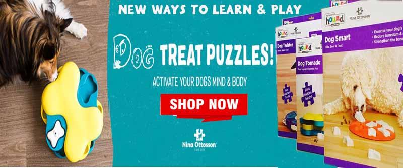 DDhouse Singapore Online Pet Supplies and Pet Products DDhouse